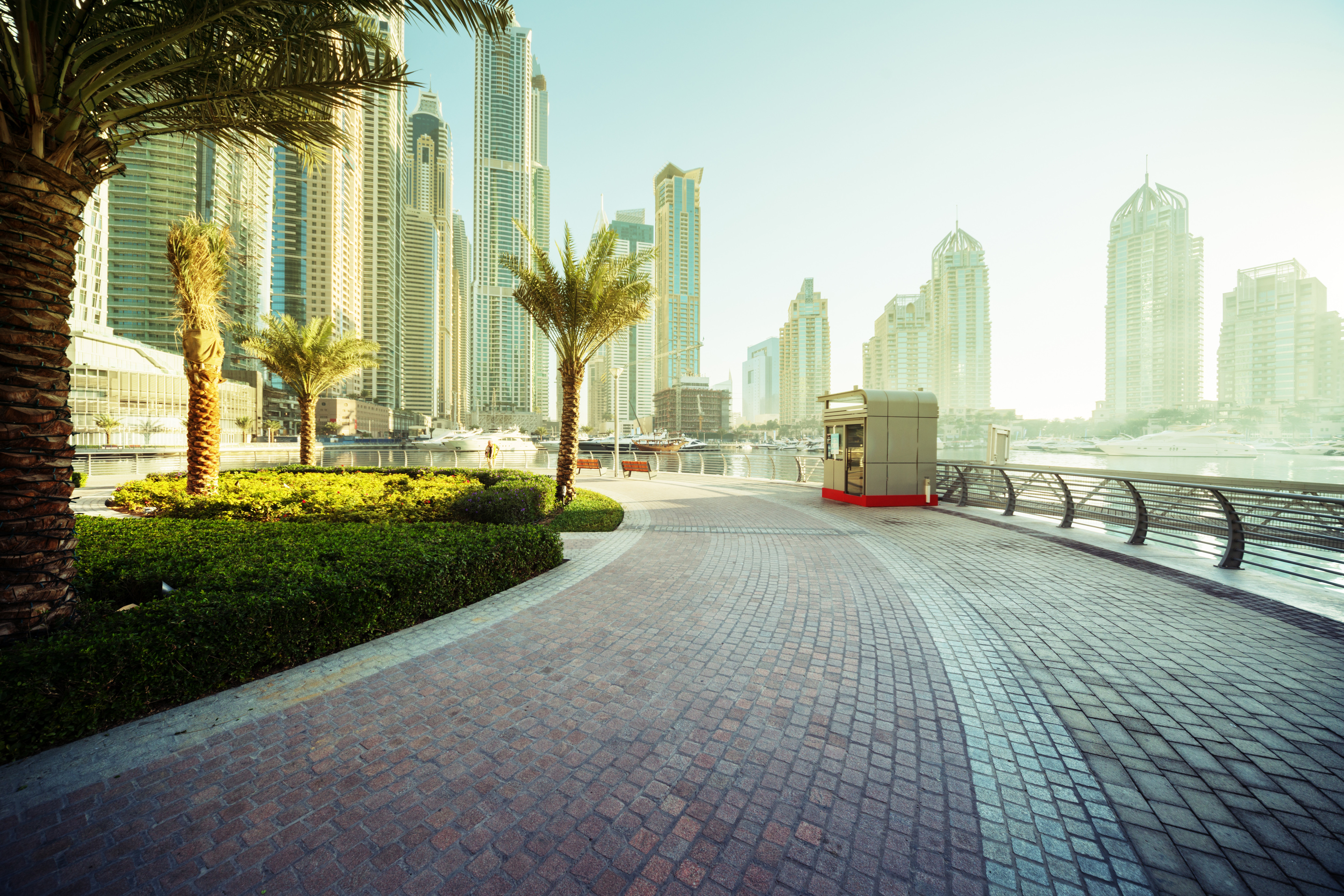 73191690_l_normal_none